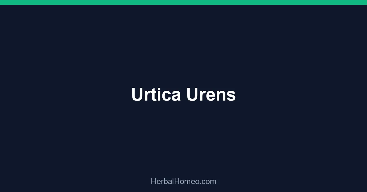 Urtica Urens