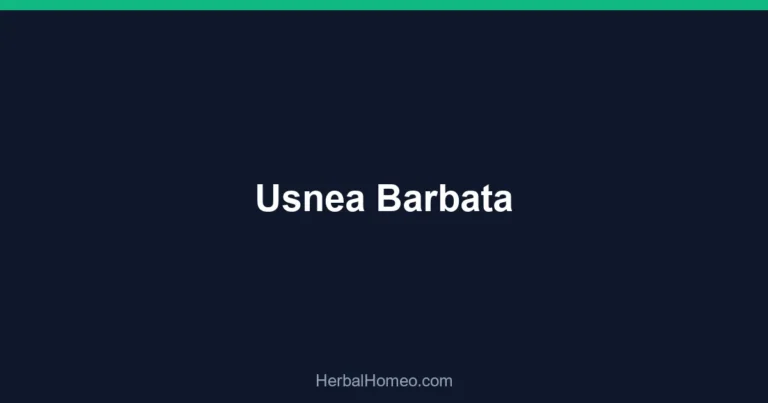 Usnea Barbata