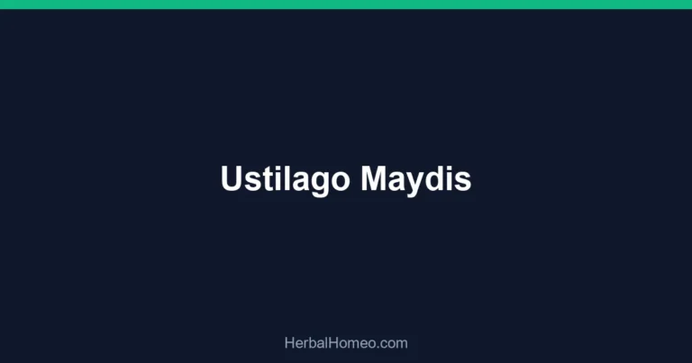 Ustilago Maydis