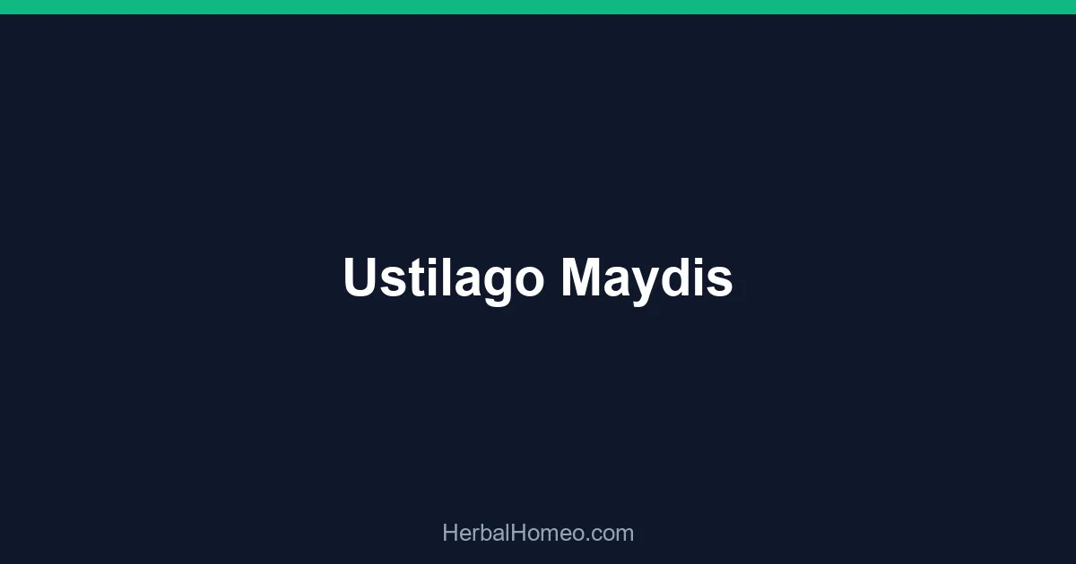 Ustilago Maydis