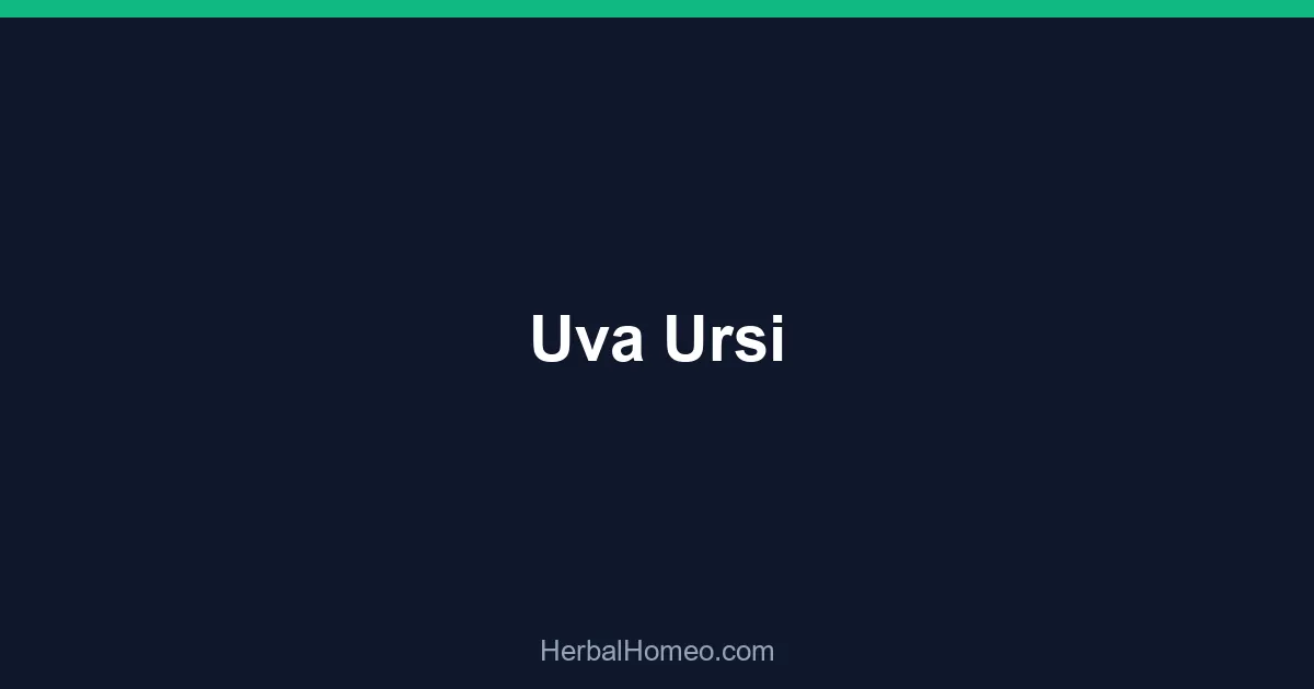 Uva Ursi