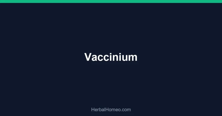 Vaccinium