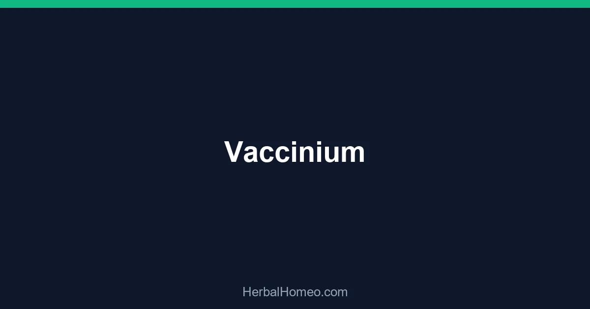 Vaccinium