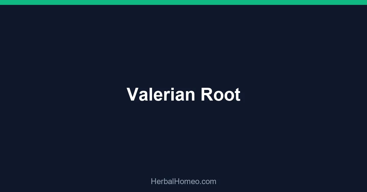 Valerian Root