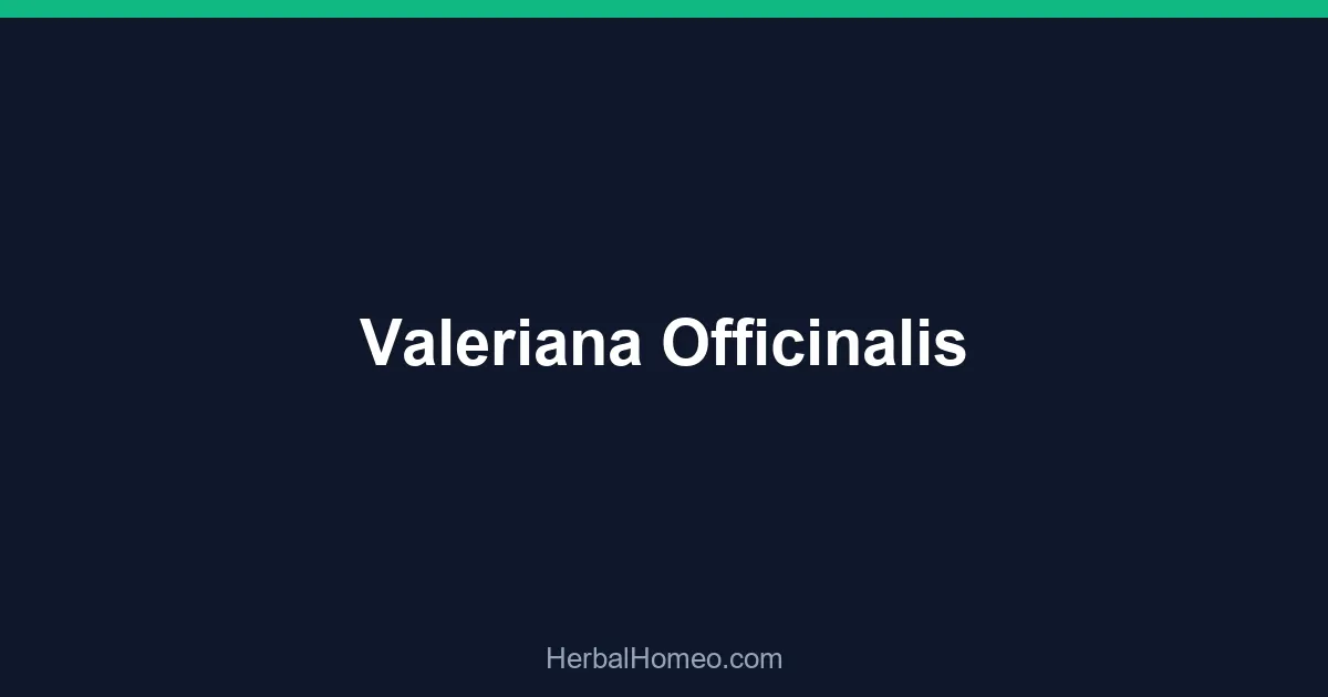 Valeriana Officinalis