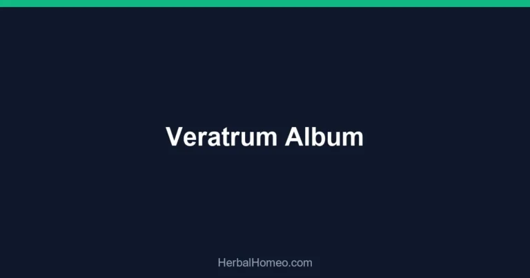 Veratrum Album