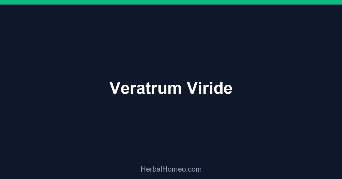 Veratrum Viride