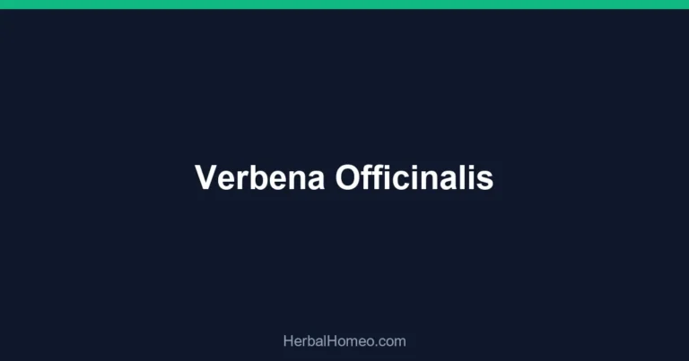 Verbena Officinalis