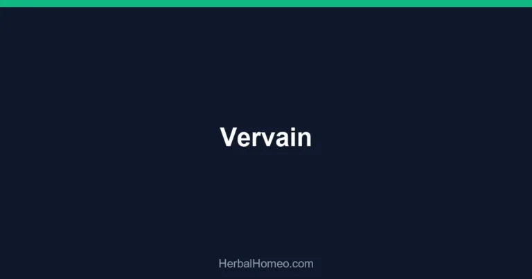 Vervain