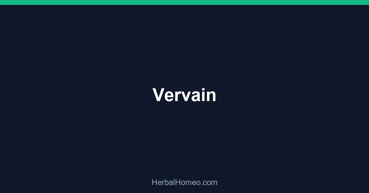 Vervain