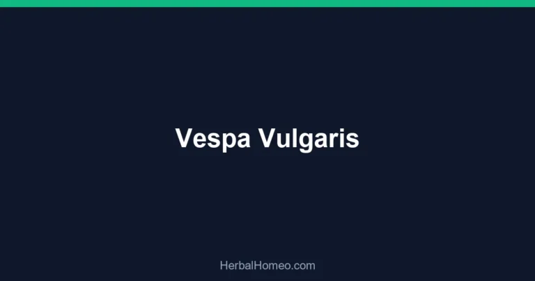 Vespa Vulgaris