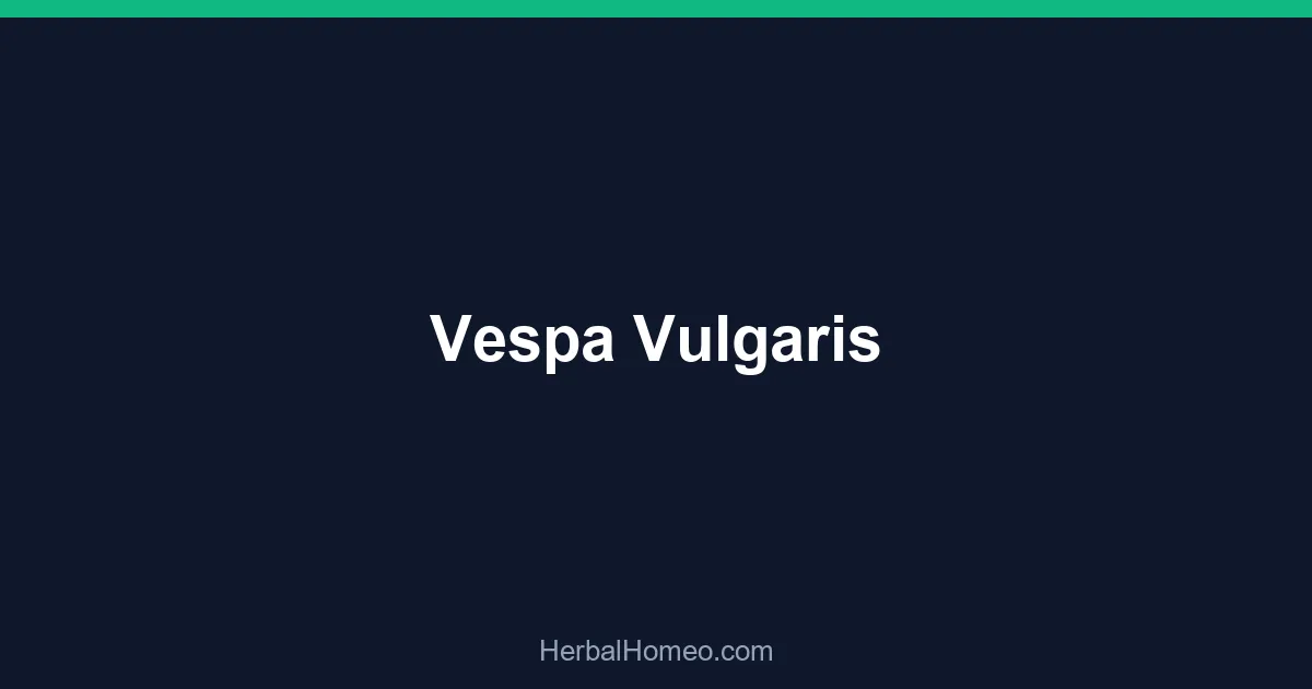 Vespa Vulgaris
