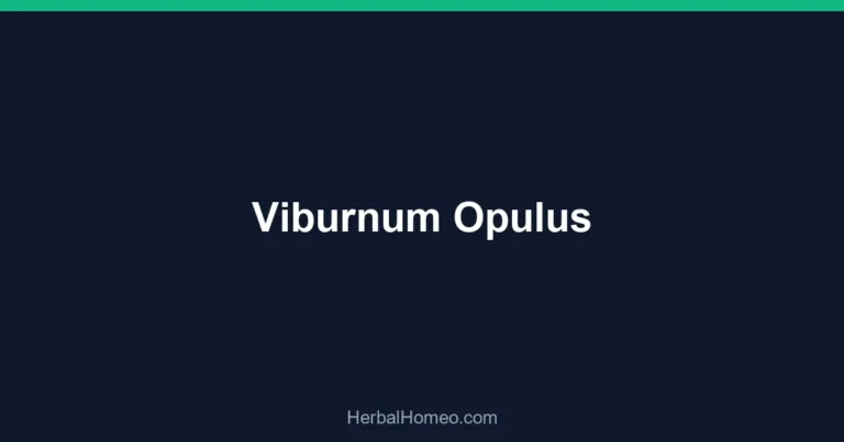 Viburnum Opulus