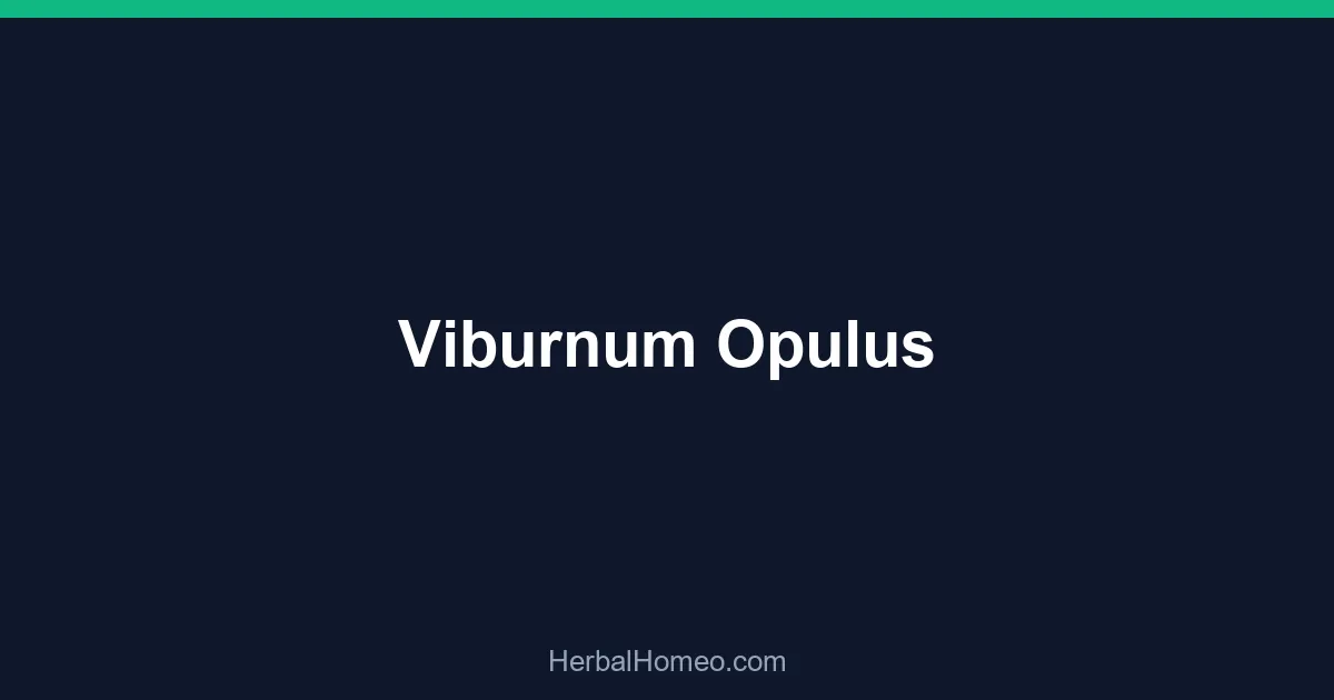 Viburnum Opulus