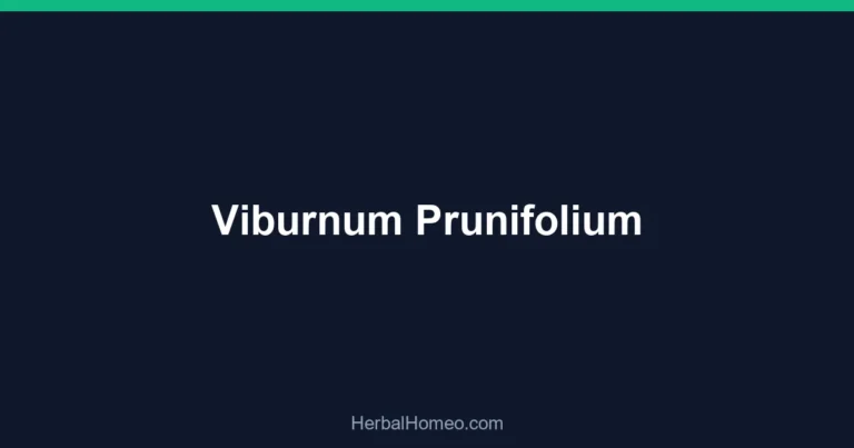 Viburnum Prunifolium