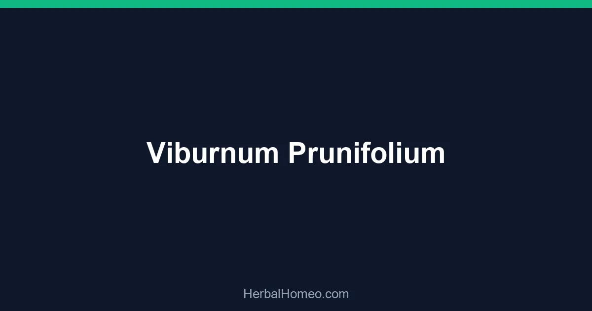 Viburnum Prunifolium