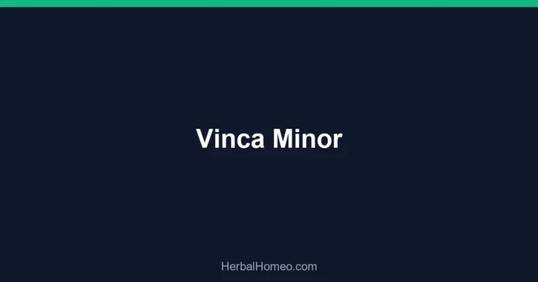 Vinca Minor