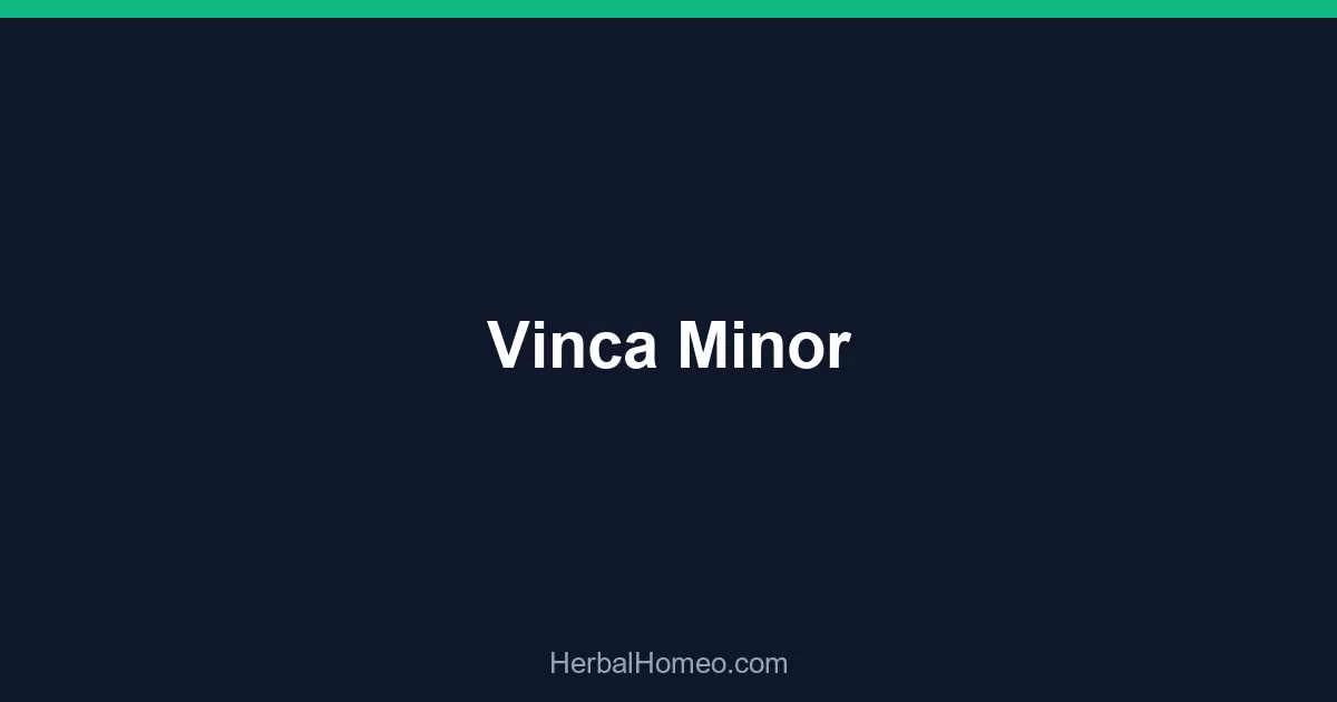 Vinca Minor