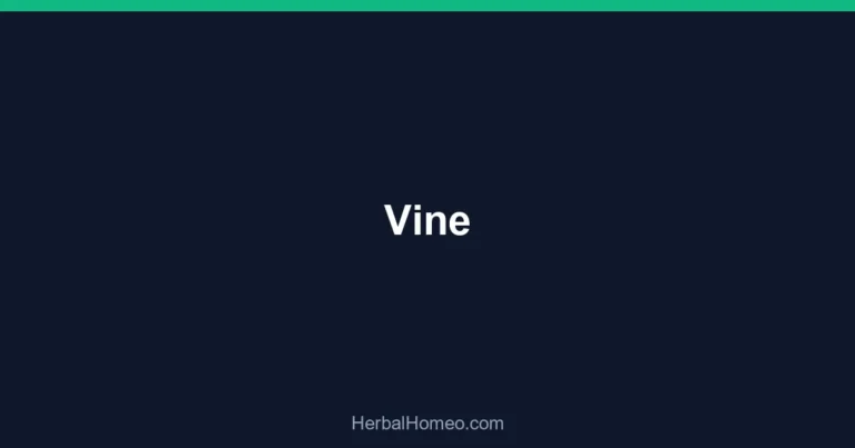 Vine