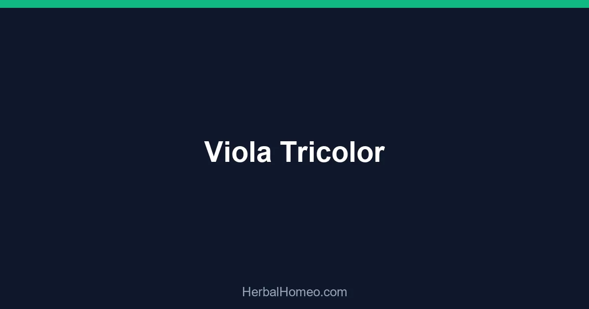 Viola Tricolor