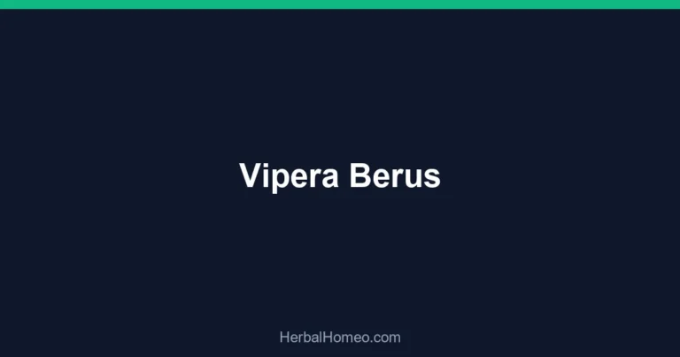 Vipera Berus
