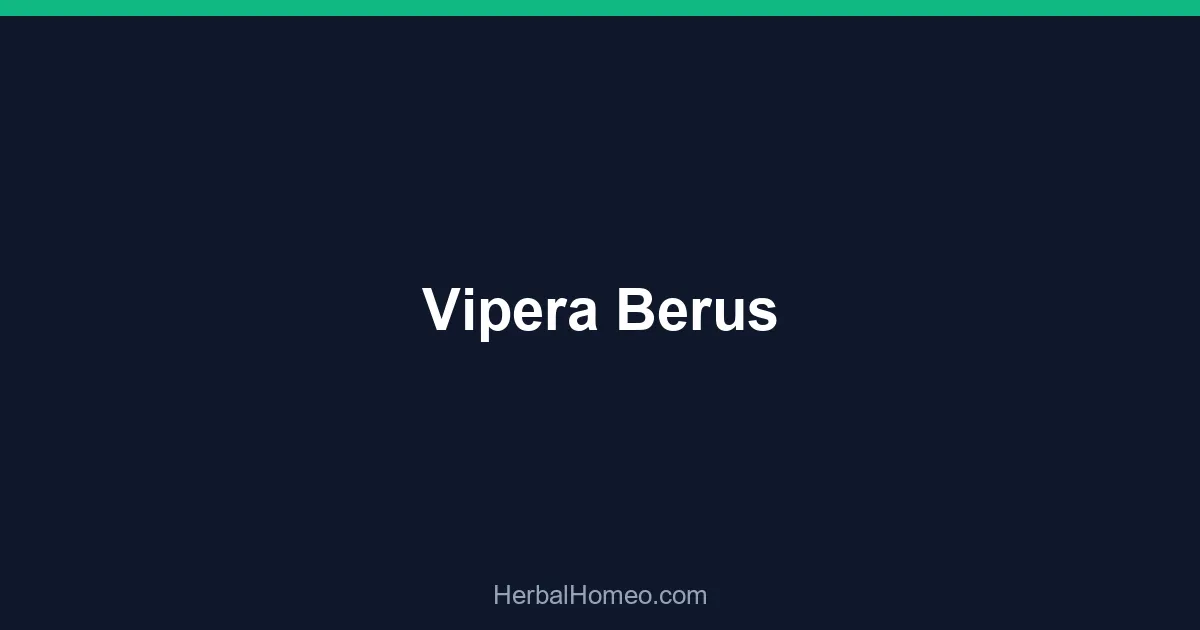 Vipera Berus
