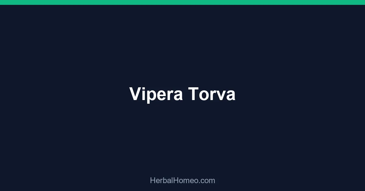 Vipera Torva