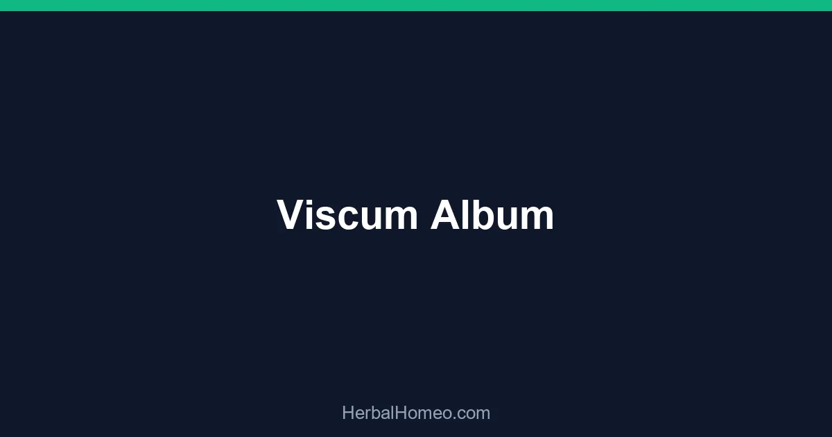 Viscum Album