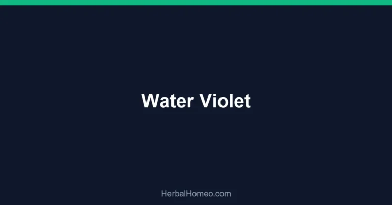 Water Violet