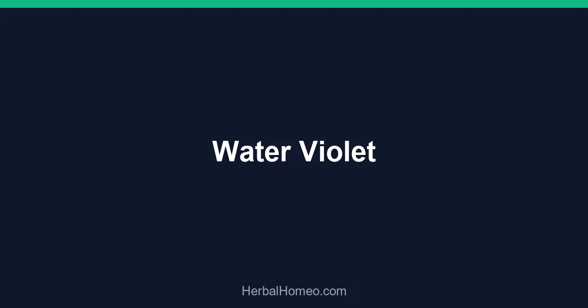 Water Violet