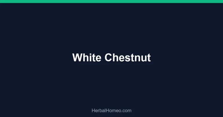 White Chestnut
