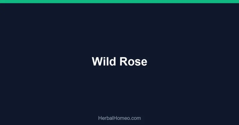 Wild Rose