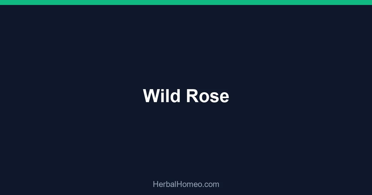 Wild Rose