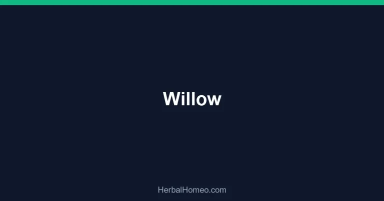 Willow