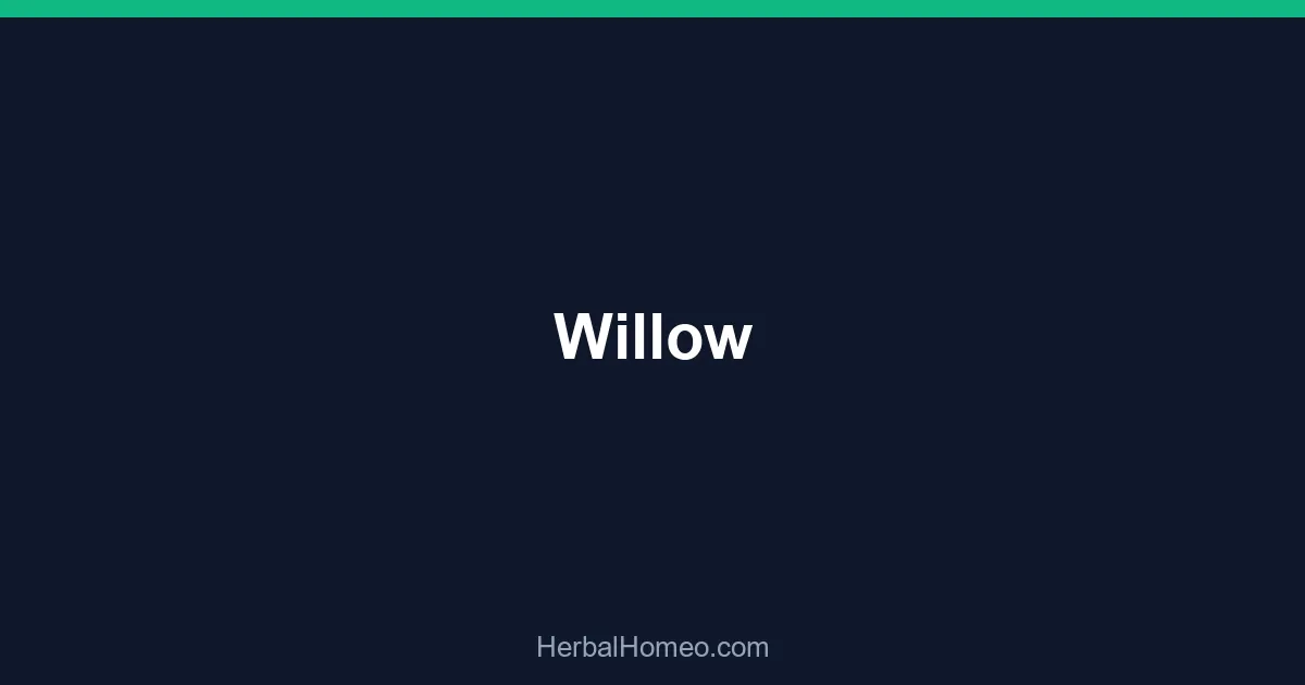 Willow
