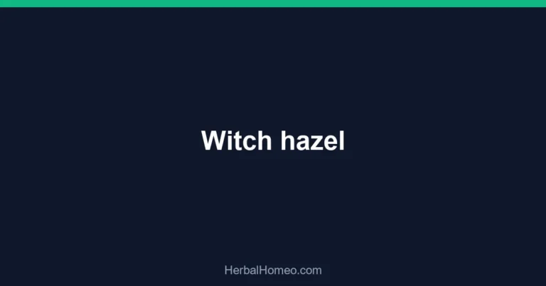 Witch hazel