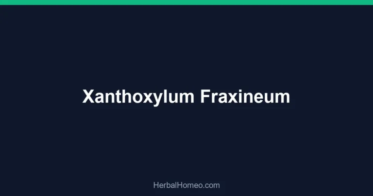 Xanthoxylum Fraxineum