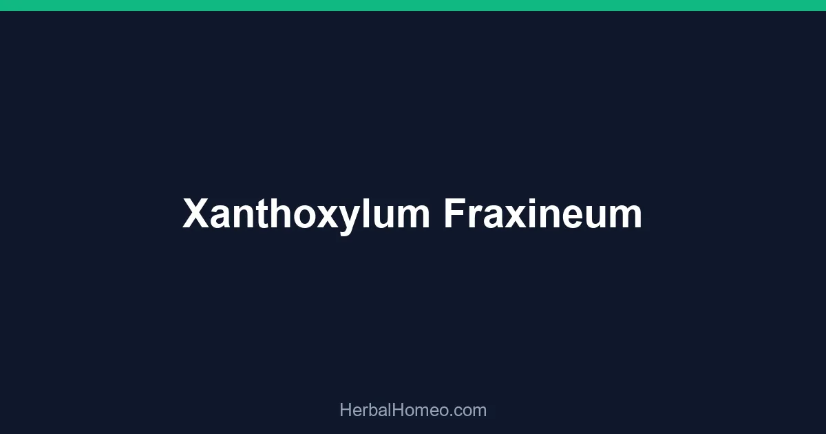 Xanthoxylum Fraxineum