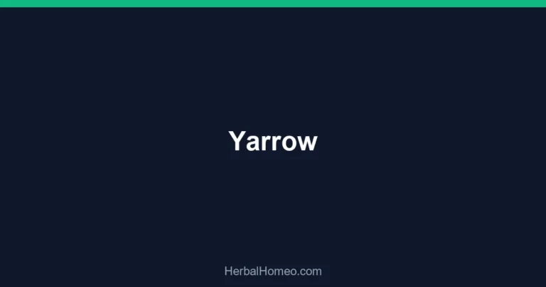 Yarrow