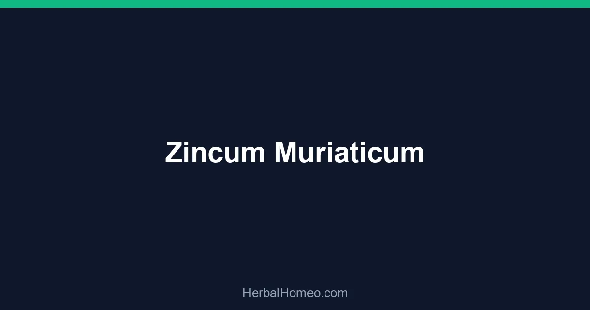 Zincum Muriaticum
