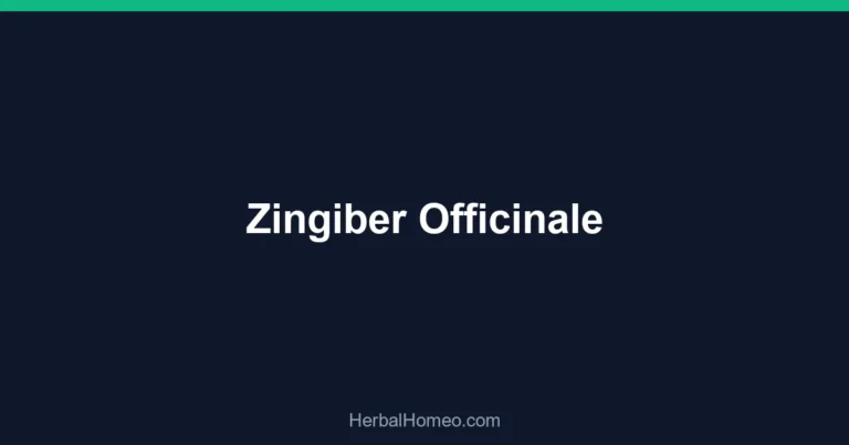Zingiber Officinale
