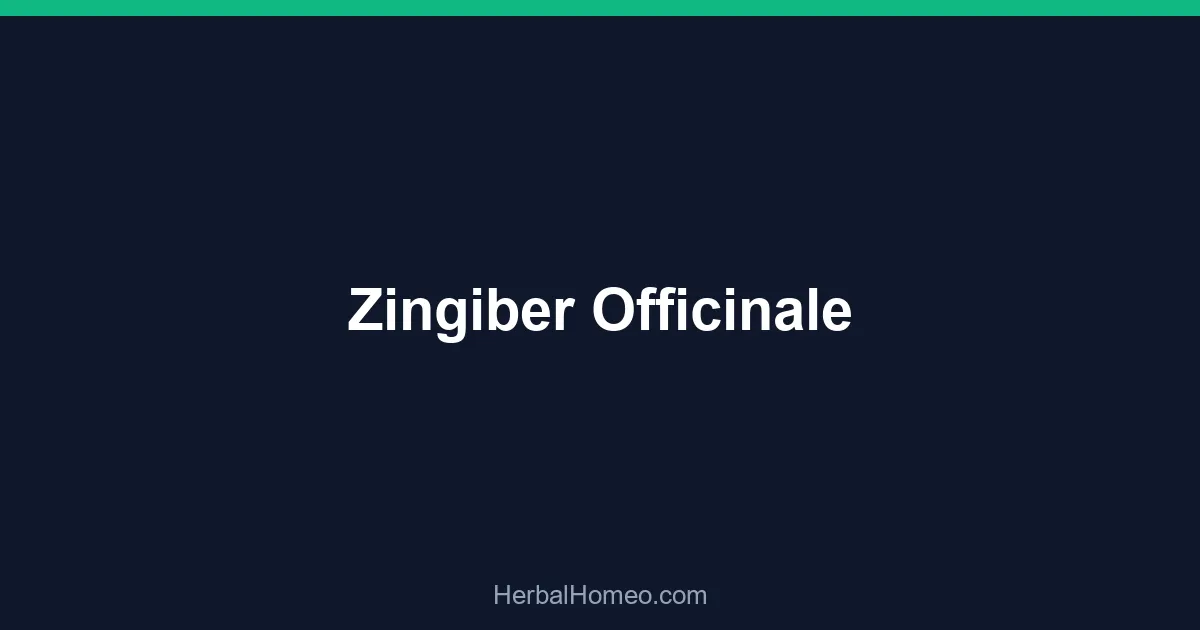 Zingiber Officinale