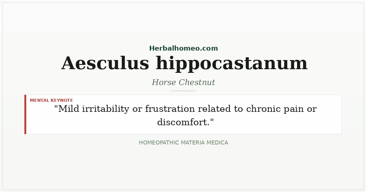 Aesculus hippocastanum (Horse Chestnut)