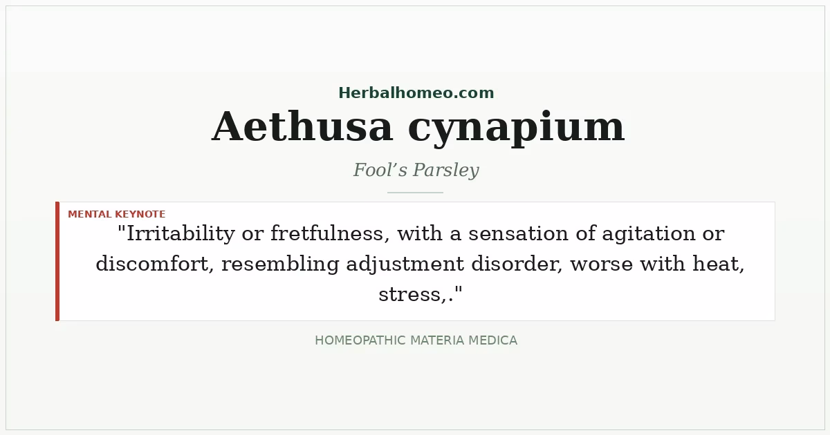 Aethusa cynapium (Fool’s Parsley)