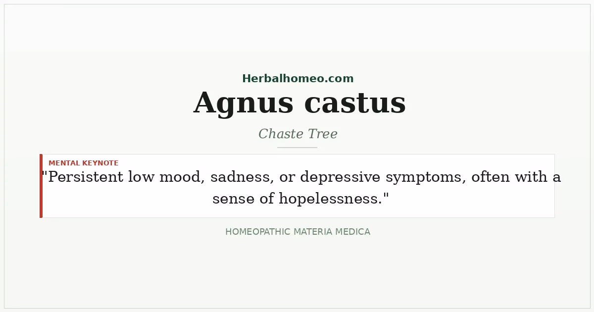 Agnus castus (Chaste Tree)