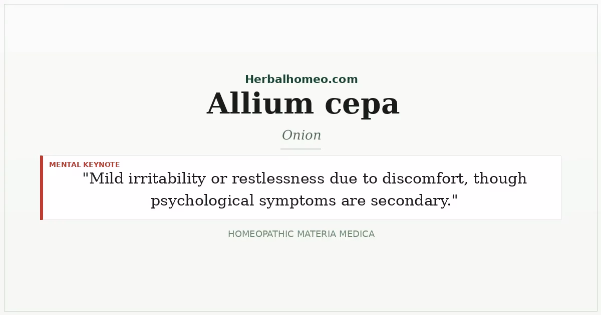 Allium cepa (Onion)