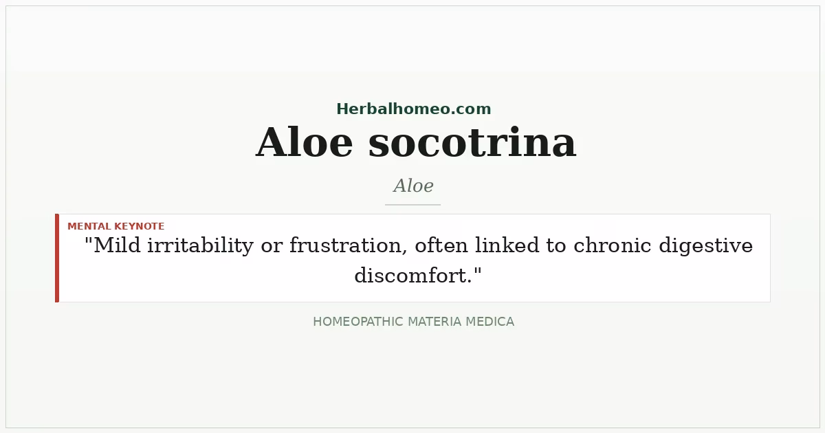 Aloe socotrina (Aloe)