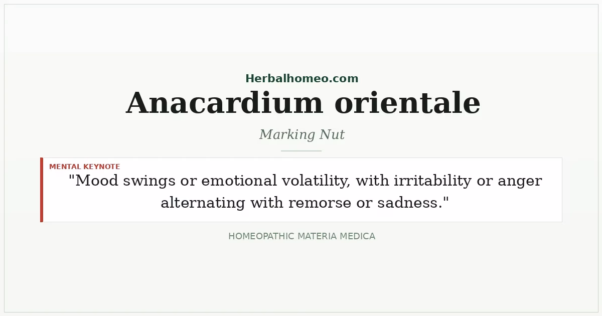 Anacardium orientale (Marking Nut)