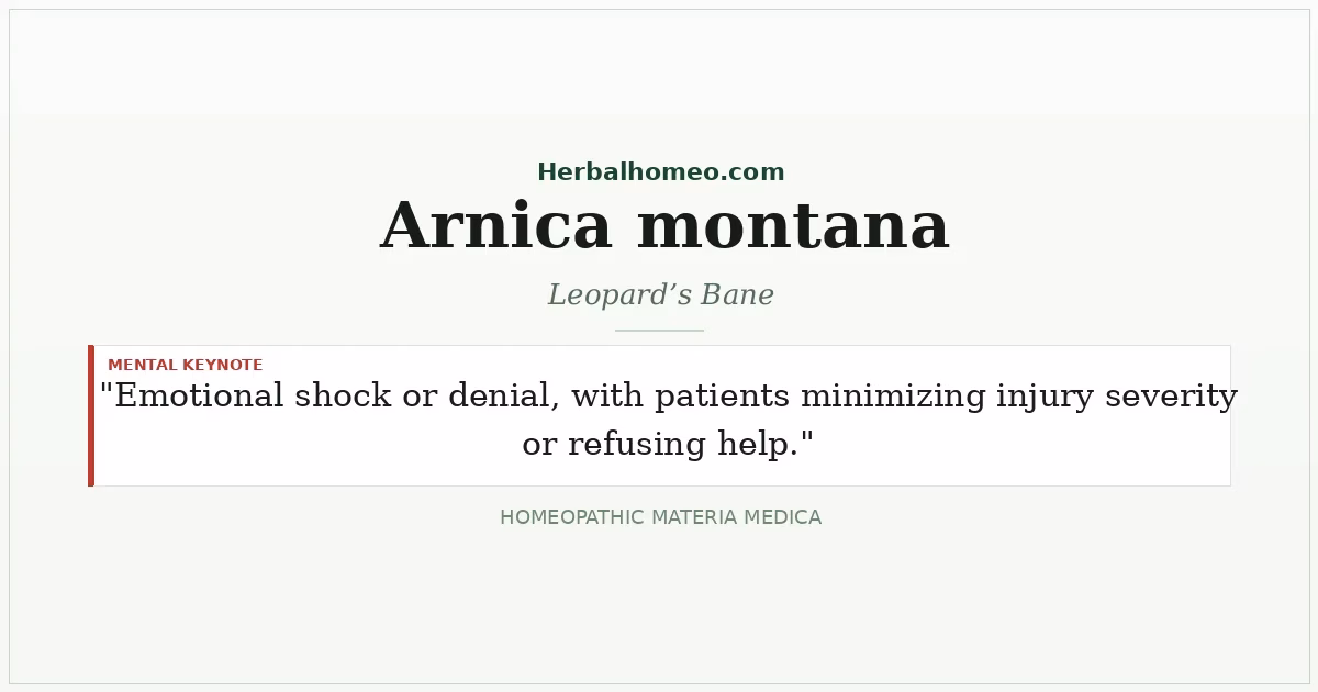 Arnica montana (Leopard’s Bane)