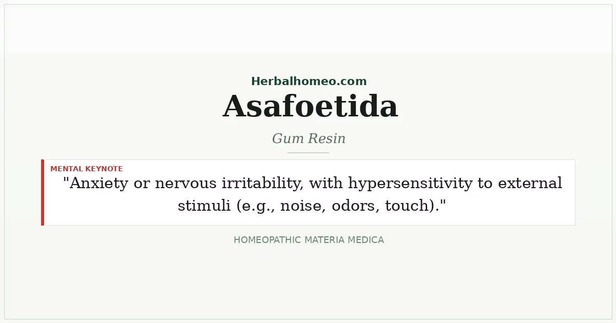 Asafoetida (Gum Resin)